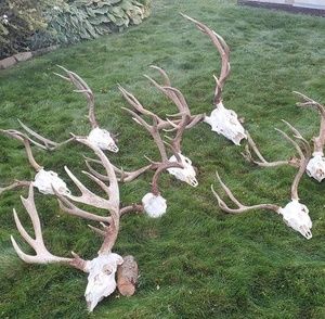 Meet your Posher, Derick